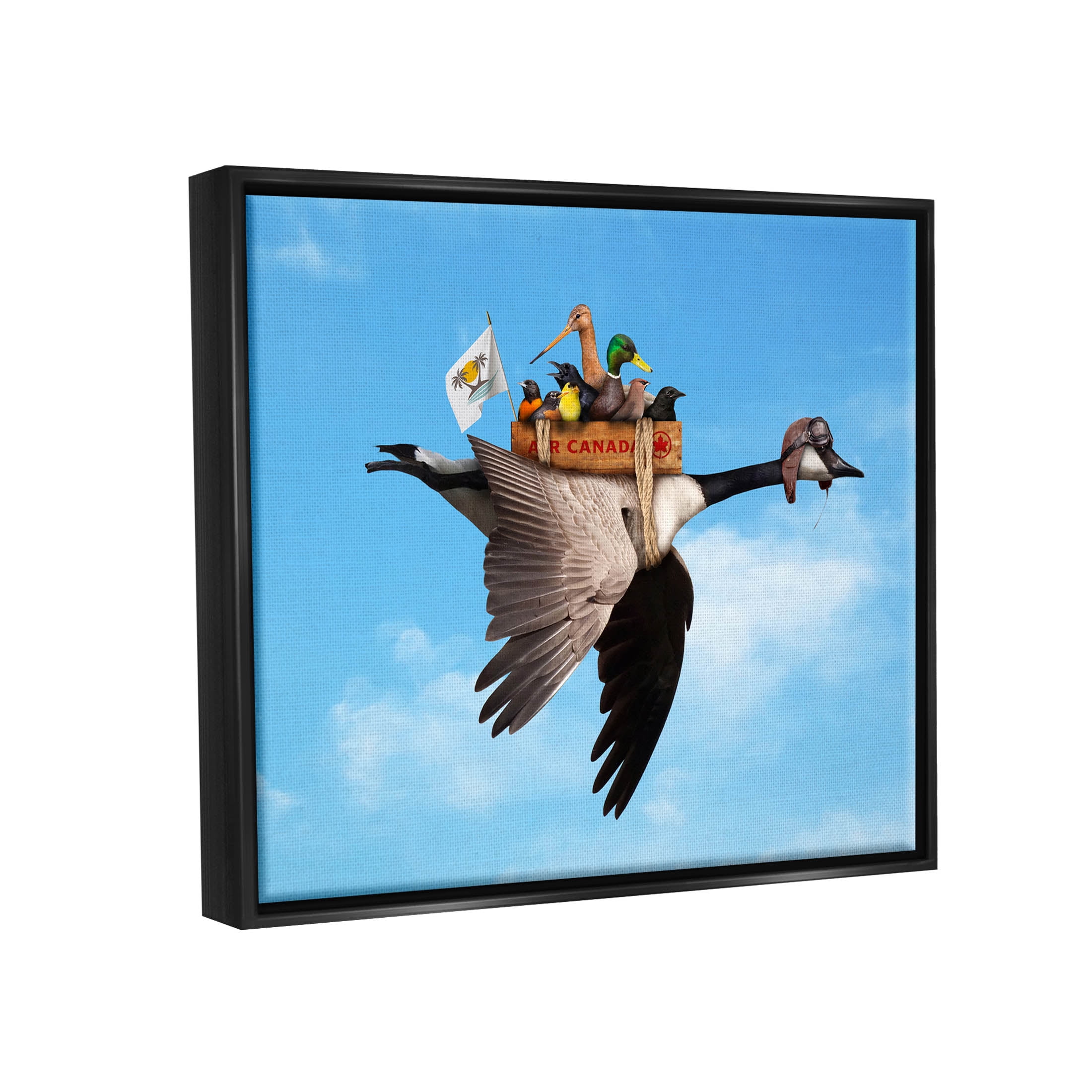 Pilot Goose Flying Ducks Sky Animals & Insects Graphic Art Jet Black Framed Art Print Wall Art