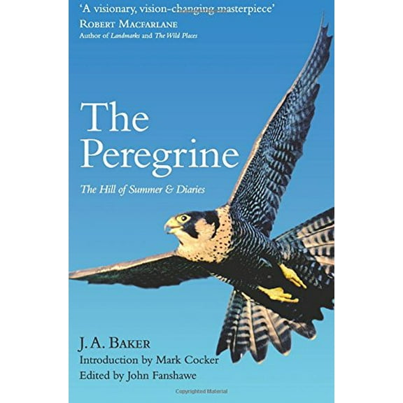 The Peregrine