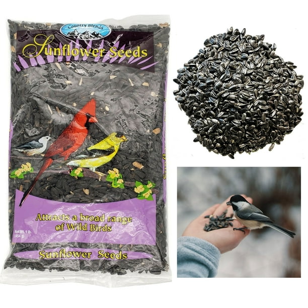 1lb Black Oil Sunflower Seed Wild Bird Feed Food Attract Birds Protein
