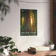 thumbnail image 3 of ELNEIT - Redwood National Park Poster, Unframed Matte Paper, S02, 3 of 4