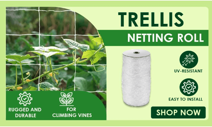 OLDMACDONALD Heavy Duty Polyester Trellis Netting Bulk Roll, 6.5ft x 350ft (79” x 350’ | 2.04m x 106.7m), 6" (15 cm) Squares, Heavy Duty Scrog Net Climbing Plants
