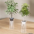 thumbnail image 1 of Cesta de Cultivo Hidropónico de Plástico Negro | Soporte Transparente para Raíces de Flores | Solución para El Cultivo de Hierbas y Suculentas En Interiores | 25 X 10 X 10 Cm - 500 G | Incluye Jarrón, 1 of 6