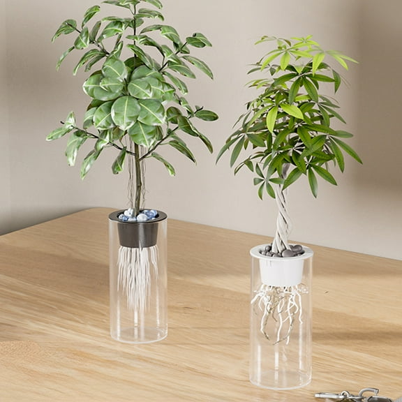 LiUMX Hydroponic Plant Basket & Vase Set | Transparent Plastic Planter for Water Plants | Indoor Herb Garden Kit | 9.84 Inch Glass Vase with Planting Holder for Flowers & Succulents