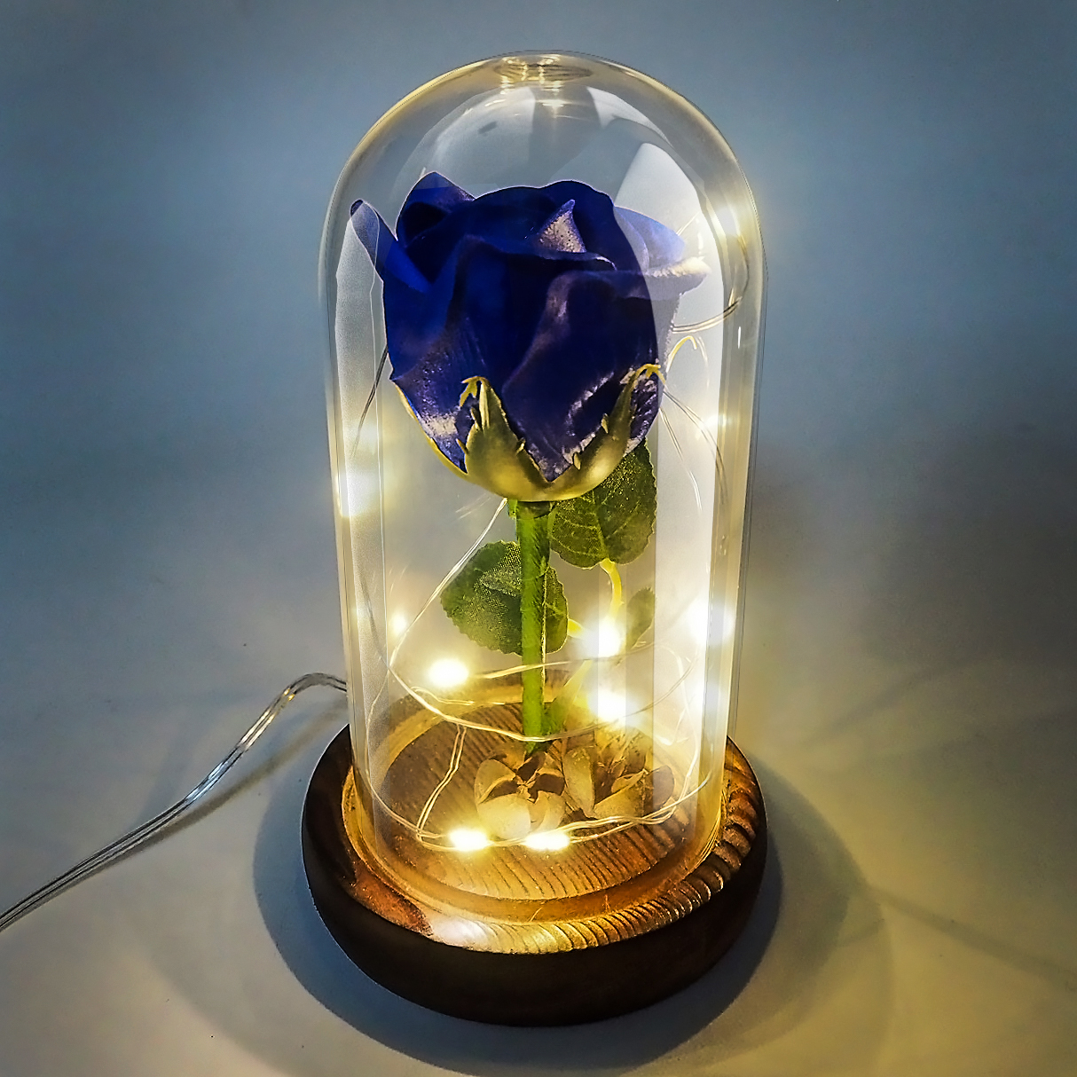 Gourmet chocolates Jieway Beauty and the Beast Rose, Rose light Dream Flower in a Glass