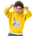 thumbnail image 5 of Frostluinai Cute Hoodies for Toddler Boy 2-7Y Little Girls Graphic Print Sweatshirts Fall Warm Pullover Tops Long Sleeve Casual Hoodies, 5 of 6