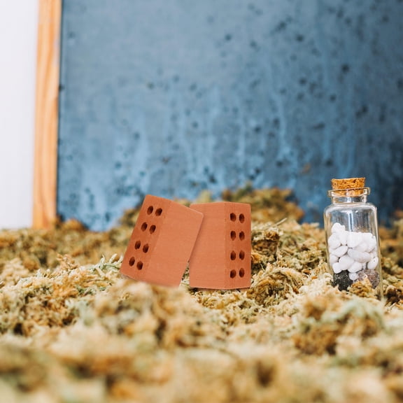 HEATSHAKING 50Pcs Miniature Bricks for Dioramas and Miniature Landscapes in Clay Material