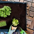 thumbnail image 4 of 4Pcs Rectangular Felt Planting Bag Non-Woven Vegetable Thickening Planting Bag, 4 of 8