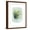 Brown Frame, variant on Art.com Paradise Palm Leaves II Art Print by Grace Popp, Brown Frame Wall Art, 17" x 21"