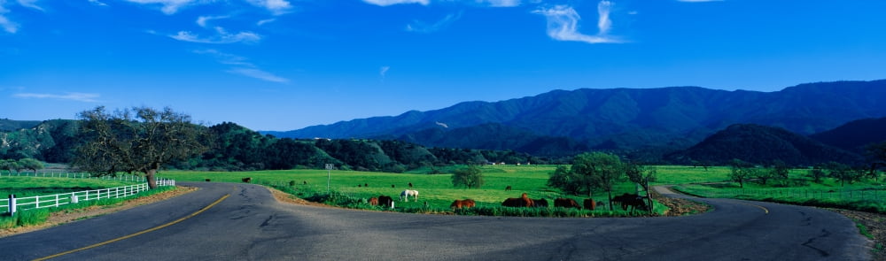 This is a country intersection with a fork in the road It is located in the Santa Ynez Mountains It is spring and there are horses grazing near the road There is also a white picket fence encircling t