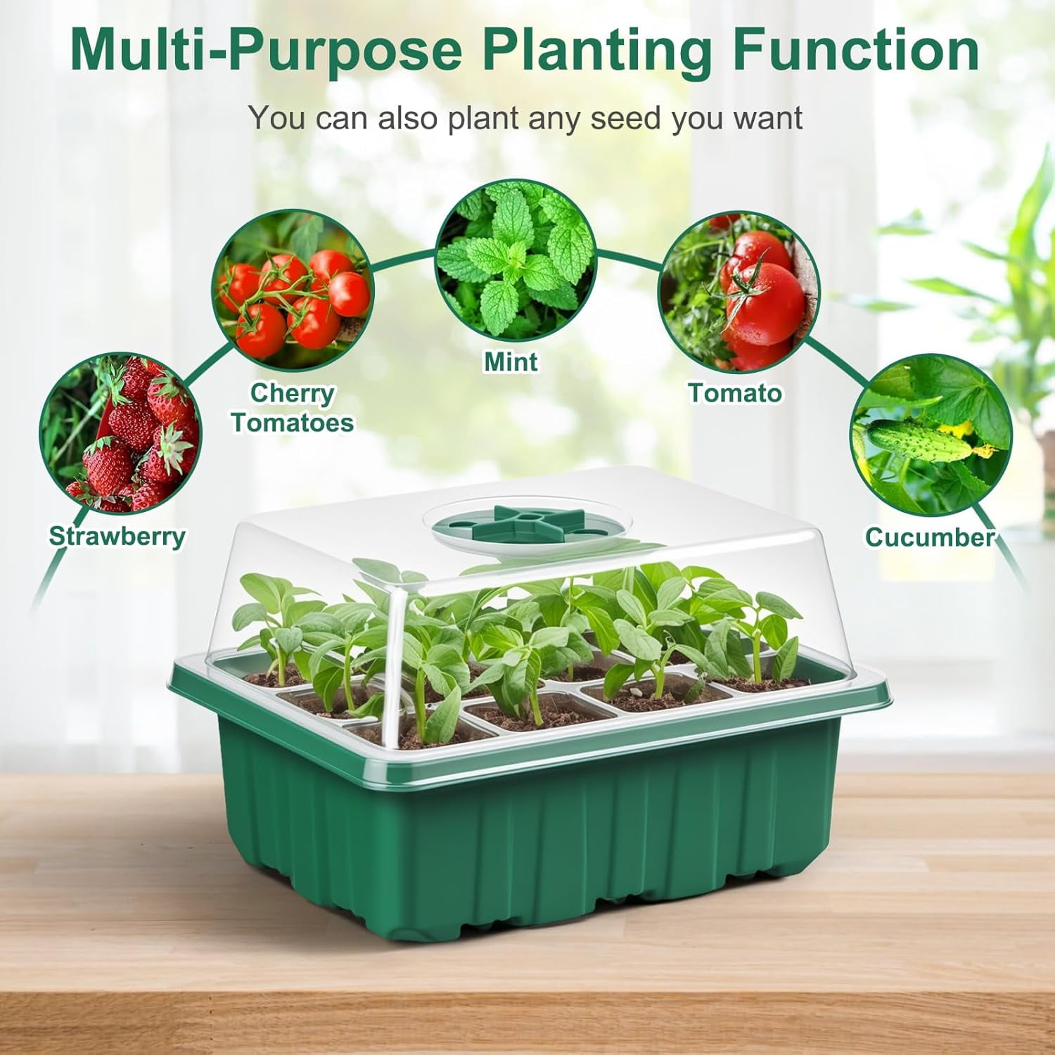 Seed Starter Tray Kit with Humidity Dome, Plant Germination Trays (Green)