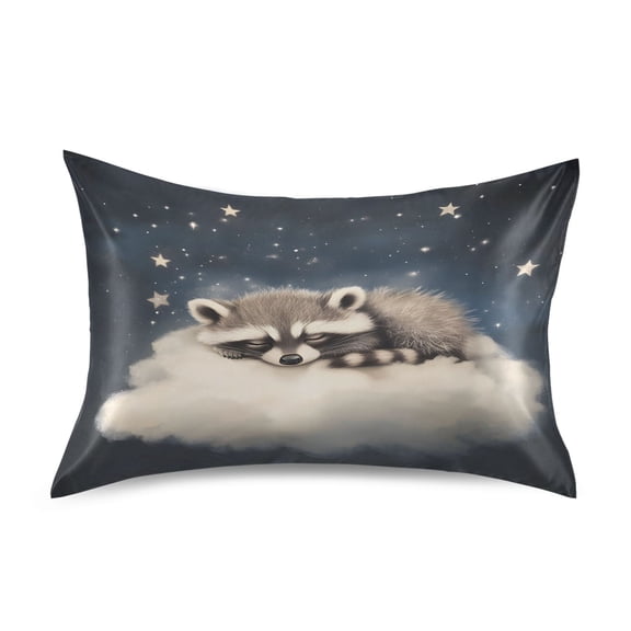 Dailycode Satin Pillow Case Standard Silk Pillow Cover for Hair and Skin Envelope Closure Raccoon on Clould 20"x26"