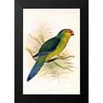 thumbnail image 2 of Smit, Joseph 11x14 Black Modern Framed Museum Art Print Titled - Parrot, Saisseti, 2 of 5