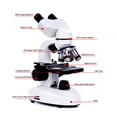 thumbnail image 3 of Kit De Microscopio Binocular 40X-5000X Rotación De 360 ​​Transparente, 3 of 7