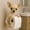 A537 B 8.7x6.3x4.7", variant on Dog Paper Holder Tissue Roll Dispenser Funny Toilet Paper Roll Holder 3D Printed Animal Shaped Roll Storage Stand Decorative Wall Mounted Toilet Paper Holder For Bathroom Kitchen Rack