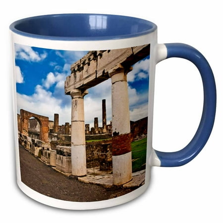 

3dRose Ancient ruins of Pompeii Campania Italy - EU16 MGL0062 - Miva Stock - Two Tone Blue Mug 11-ounce