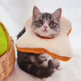 thumbnail image 3 of Collar de recuperación ajustable YONGSHENG para gatos suave XS 19 x 15 cm, 3 of 3
