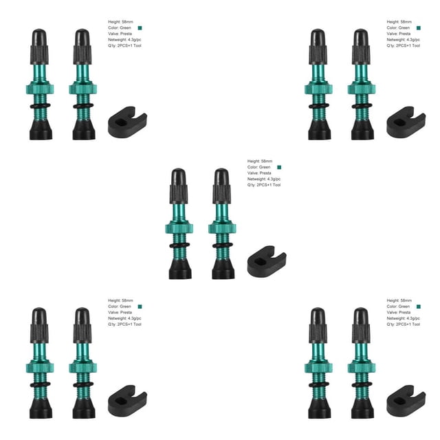 Eigraketly 2 uds válvulas sin cámara de bicicleta aleación de cobre núcleo de goma boquilla de vacío accesorios de neumáticos profesionales Type2 NO2 Eigraketly CBP032537