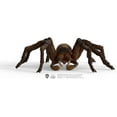 thumbnail image 4 of Schleich Harry Potter - 6" Aragog Spider Figurine Toy - Wizarding World Collectible Figures for Kids and Adults Ages 6+ | 13987, 4 of 7