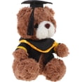 thumbnail image 4 of Oso de peluche de graduación, osito de peluche con birrete, regalo de graduación, 4 of 7