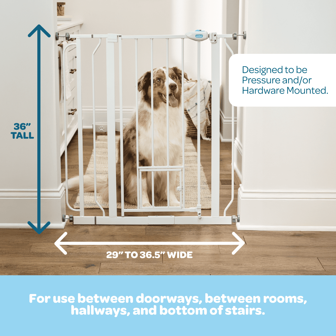 Carlson Extra Tall Metal Walk Through Pet Gate with Small Pet Door and Extension Kit, 36" H x 29"-36.5" W