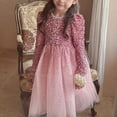 thumbnail image 2 of Little Flower Girl Tulle Tutu Dress Easter Birthday Wedding Party Princess Dresses Lace Tulle Princess Pageant Dress Kids Prom Ball Gowns, 2 of 9