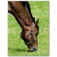 thumbnail image 1 of Picture-Tiles.com: Horse Ceramic Tile Wall Mural WAL500766-34XL. 36"W x 48"H using (12) 12" x 12" Ceramic Tiles-Satin Finish, 1 of 3