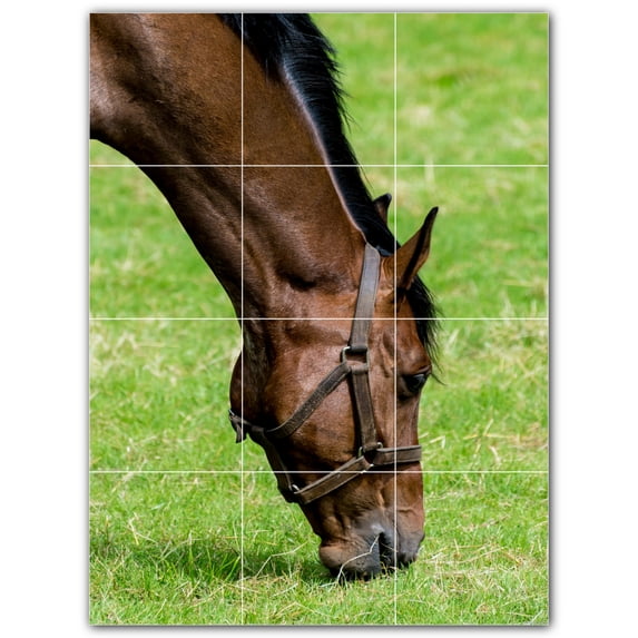 Picture-Tiles.com: Horse Ceramic Tile Wall Mural WAL500766-34XL. 36"W x 48"H using (12) 12" x 12" Ceramic Tiles-Satin Finish