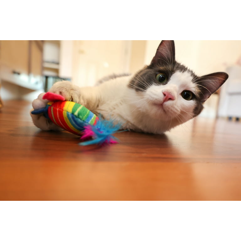Kong Active Scrunchie Cat Toy