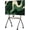 Black, variant on Easel Rolling TV Stand for 49"–80" TVs, Portable TV Stand with Wheels Holds up to 110 lbs, Mobile TV Cart with Wooden Shelf for Office, School, Business & Home, White