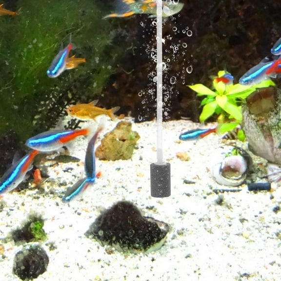 LOLIPPYY Air Pump Usb Oxygen Pump Black Plastic Aquarium Pet Owners Home Aquarium Use 1Set