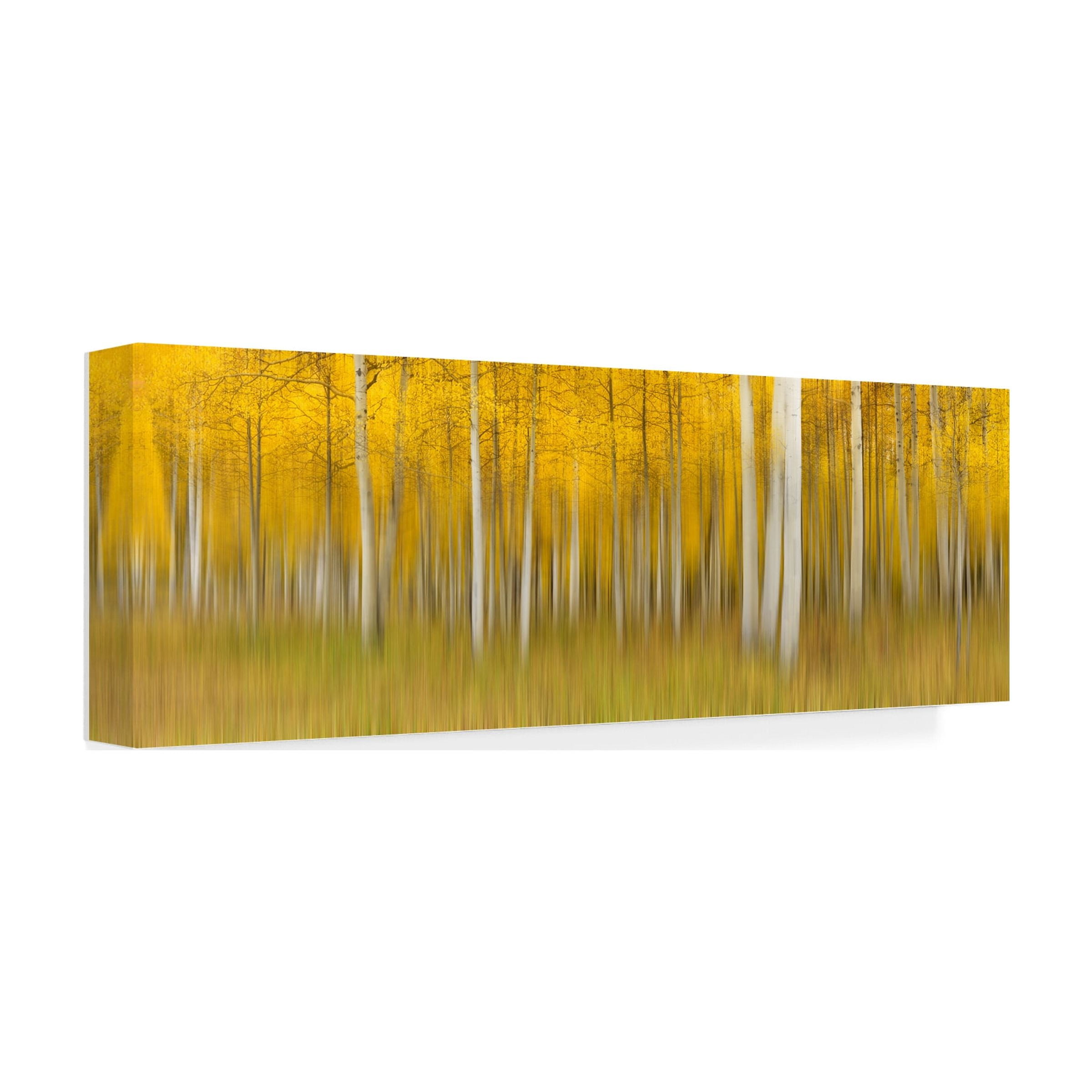 Mei Xu 'Autumn Dream' Canvas Art