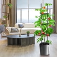 thumbnail image 3 of Raised Garden Bed Planter Box with Trellis, 2 Pack Self Watering Plant Pot with Tomato Cage and Water Level Monitor for Climbing Vegetables, Plant Pots for Outdoor & Indoor Plants Flowers Decor, 3 of 9