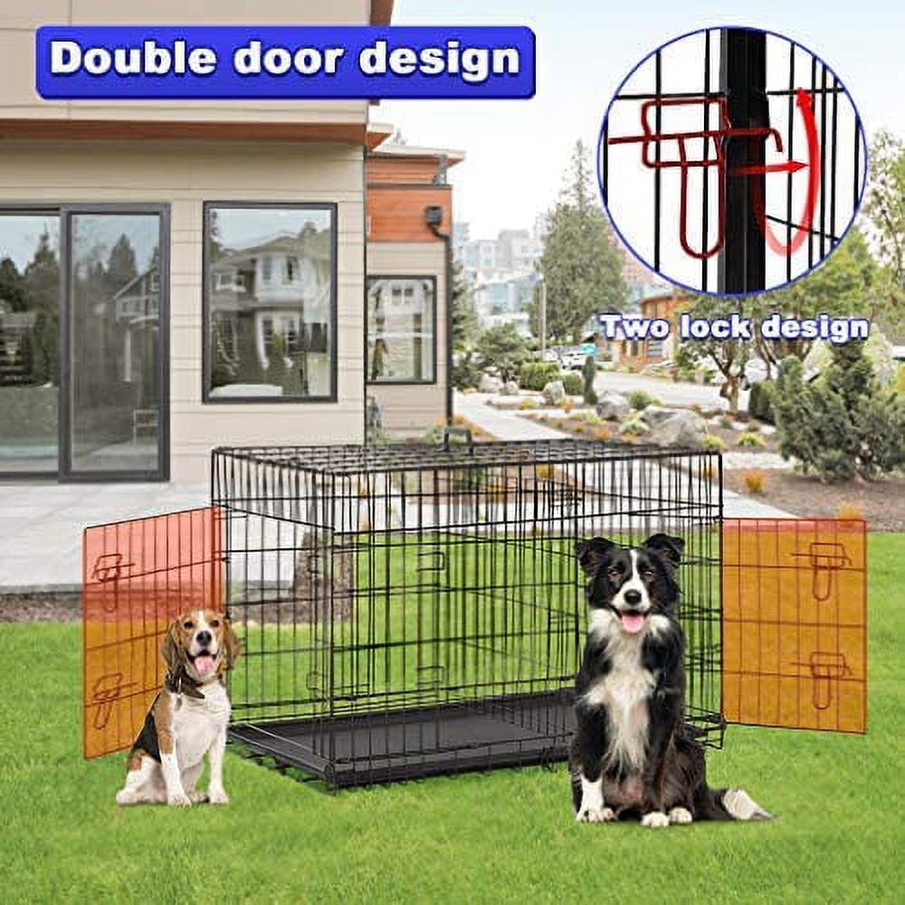 Bestpet 24 inch Black Foldable Metal Double Door Dog Crate with Divider Removable Tray for Small Dogs