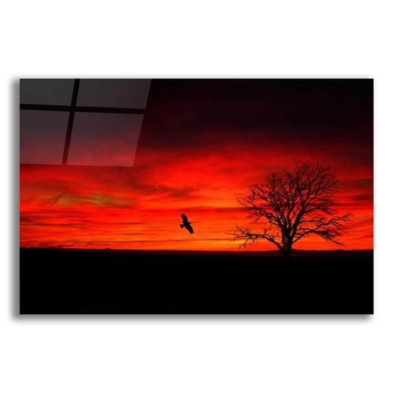 Epic Art 'Lone Tree And A Bird' by Ata Alishahi, Acrylic Glass Wall Art, 24"x16"