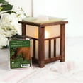 thumbnail image 4 of ScentSationals Scented Wax Cubes - Perfectly Pine, 4 of 4