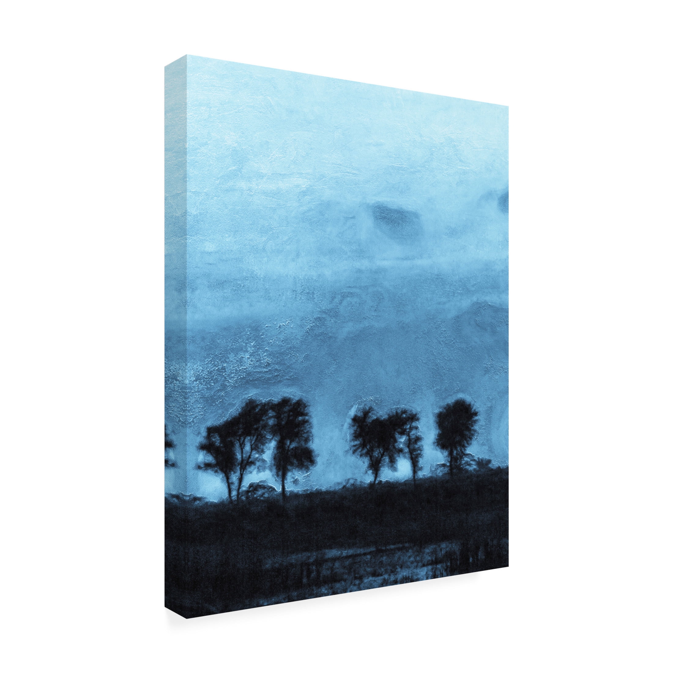 Trademark Fine Art Alonzo Saunders Blue Dawn Horizon II Canvas Wall Art