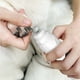 thumbnail image 4 of Amoladora de Uñas Recargable Por Usb para Perros y Gatos. Cortauñas Eléctrico de 3 Velocidades, Silencioso y Ajustable con Luz Led. Herramienta de Aseo Segura y Fácil., 4 of 6