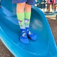 thumbnail image 2 of Dolphins and Soccer Socks from the Sock Panda (Adult Small - Shoe Sizes 2-5), 2 of 6