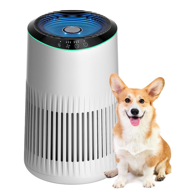 Purificador de aire MERONTE MR2566 para olores de humo doméstico, 21 m², blanco