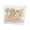 B, variant on Up to 50% off ! TopLLC 100 PCS/pack Disposable Wooden Golden Bead Skewers Love Star Decorative Skewers Bead Skewers Fruit Skewers on Clearance