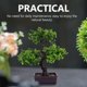 thumbnail image 4 of Decoración de escritorio de bonsai de planta artificial en maceta, 4 of 5