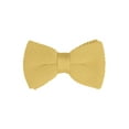 thumbnail image 1 of CORBATA DE LAZO PREATADA PARA HOMBRES INSPIRADA CHIC, CON CORREA AJUSTABLE, COLOR SÓLIDO, TEJIDA, AMARILLO CLARO, 1 of 5