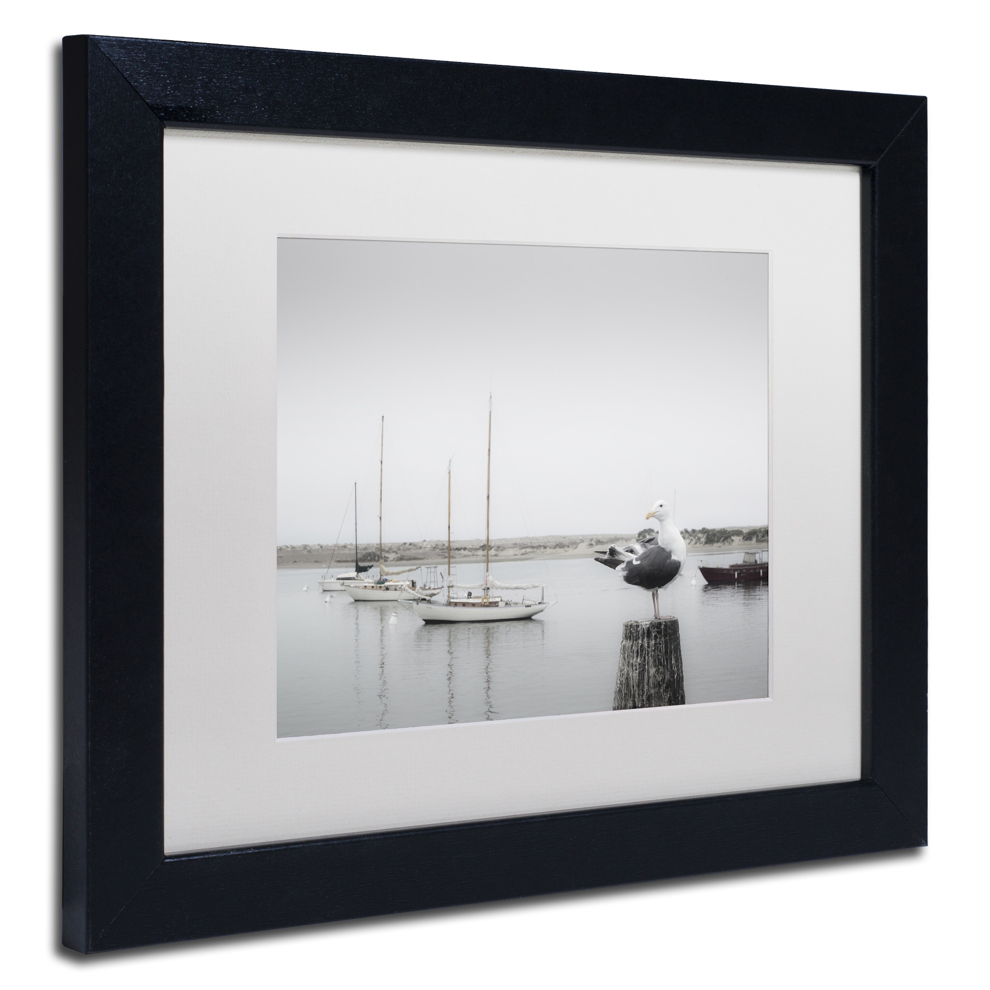 Trademark Fine Art "Four Boats and Seagull" Canvas Art by Moises Levy White Matte, Black Frame
