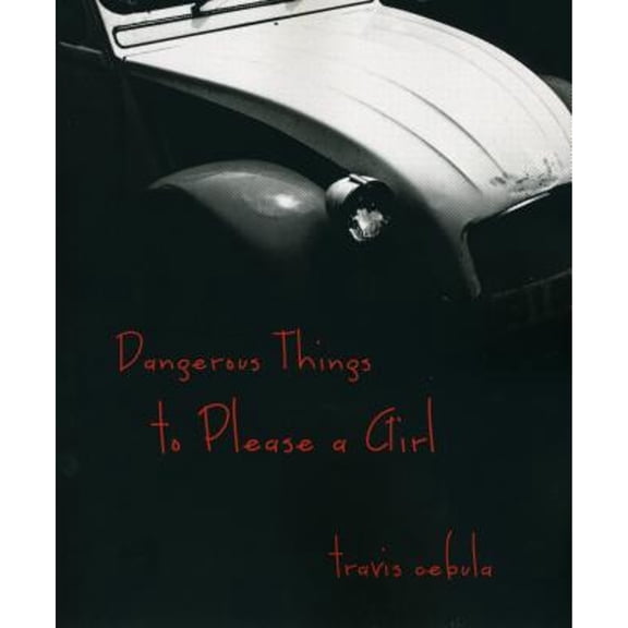 Pre-Owned Dangerous Things to Please a Girl (Paperback) by Travis Cebula