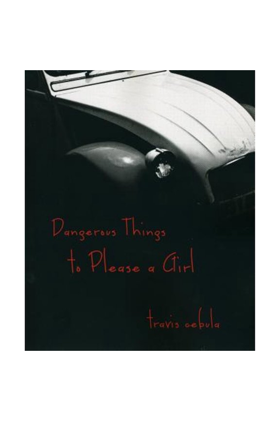 Pre-Owned Dangerous Things to Please a Girl (Paperback) by Travis Cebula