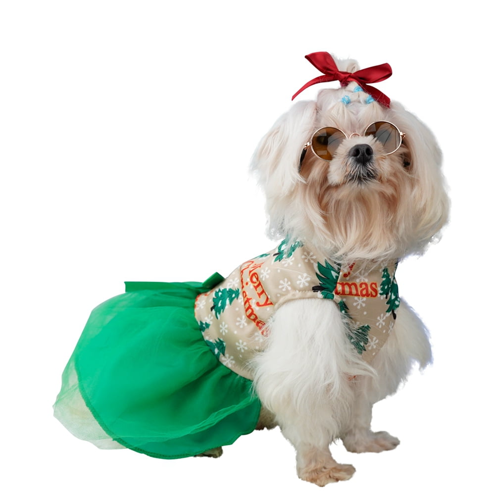 Christmas Vacation Dog