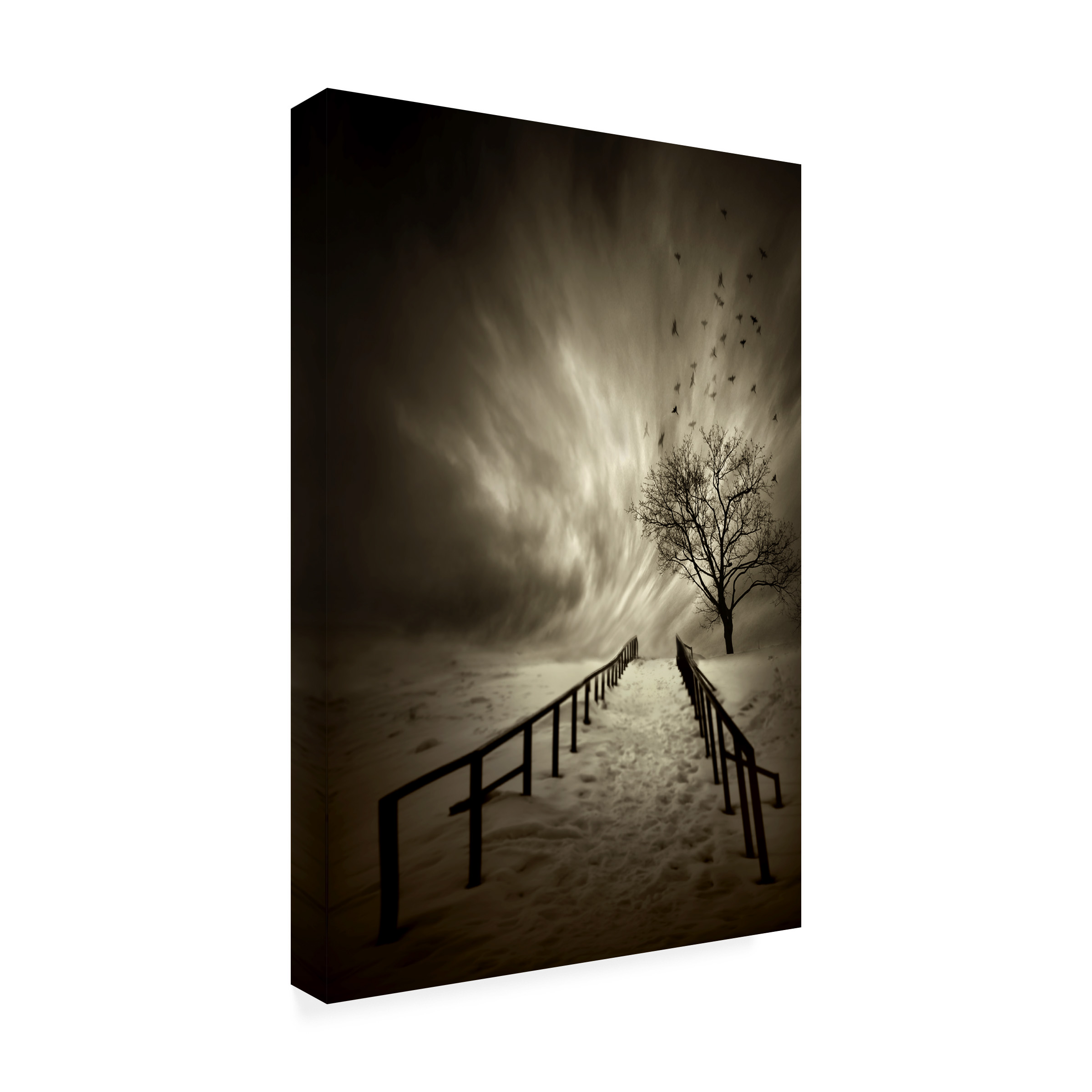 David Senechal 'Stairs To The Sanctuary' Canvas Art
