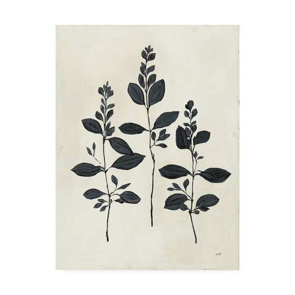 Trademark Fine Art 'Botanical Study IV' Canvas Art by Julia Purinton