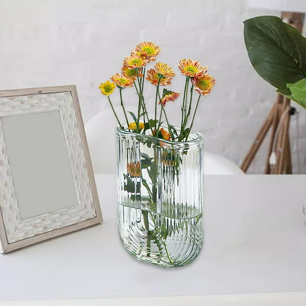 Jarrón hidropónico,Jarrón de cristal en forma de U Florero Jarrones nórdicos,Florero hidropónico Centro de mesa Decoración para el hogar,Exhibición de plantas Florero de vidrio Claro Macarena Jarrón hidropónico