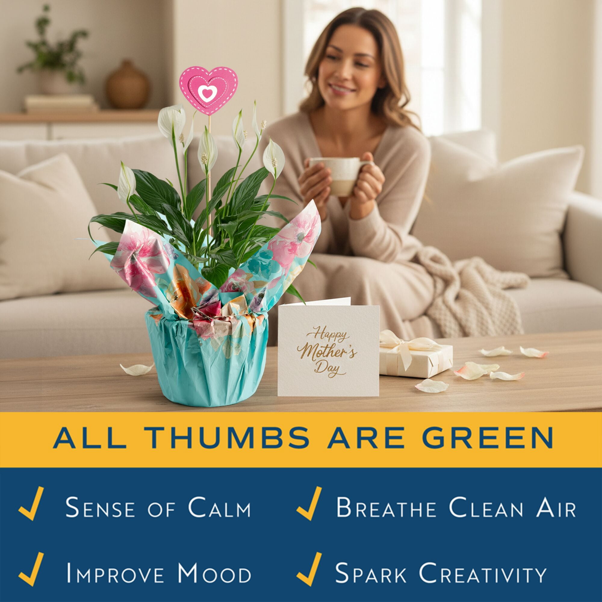 Costa Farms Live Indoor 15in. Peace Lily, Decor Pot